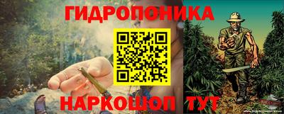 гашик Гусь-Хрустальный