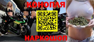 гашик Гусь-Хрустальный