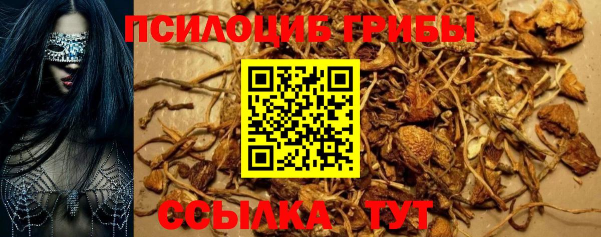 Псилоцибиновые грибы мухоморы Можайск